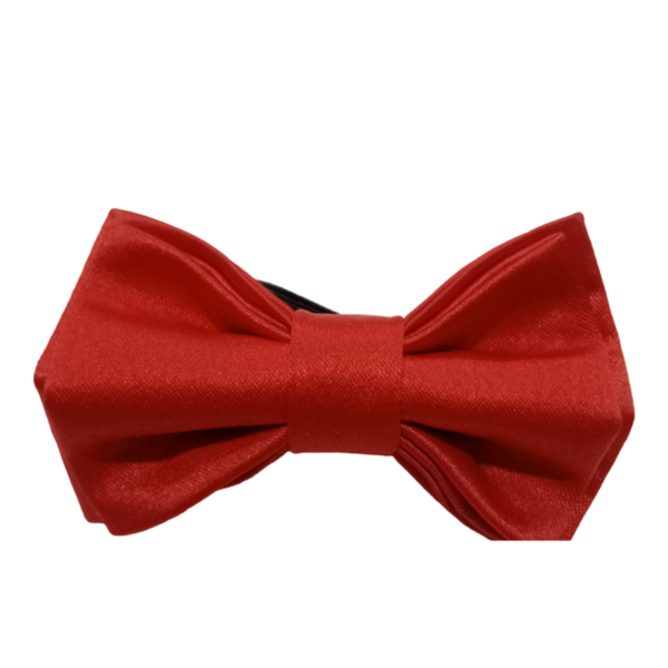 Kids Classic Pre-Tied Bow Tie - RED